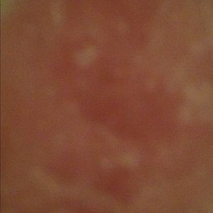 Meet your Posher, Sydney